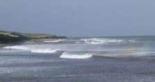 Surfs up!
